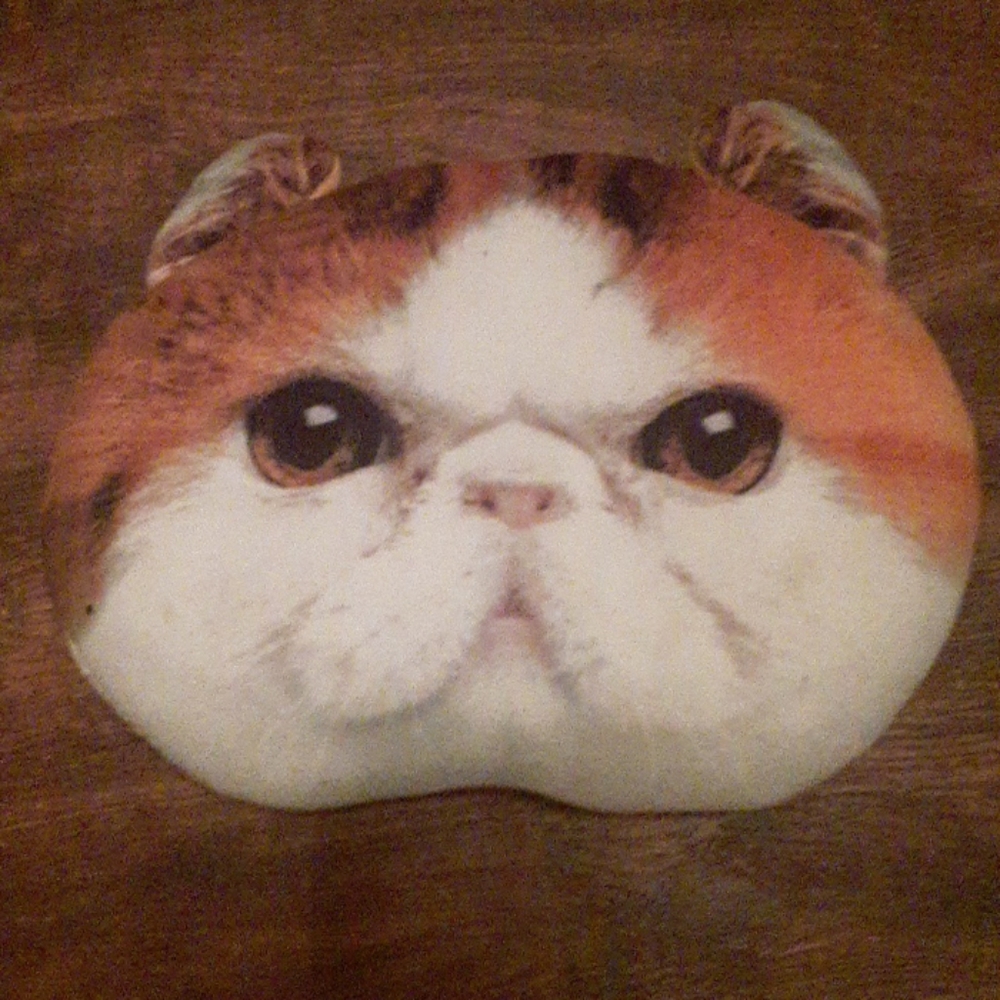Cat plush